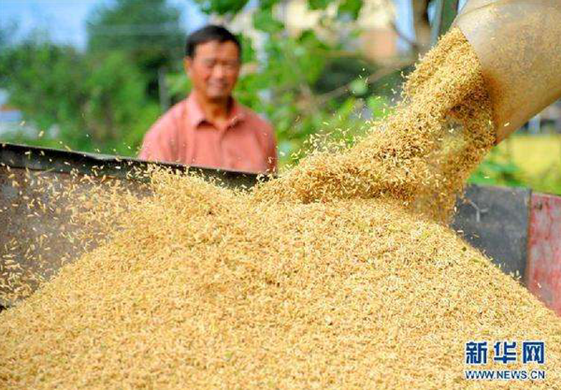 军盾米业:打造安心粮食守护牌